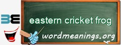 WordMeaning blackboard for eastern cricket frog